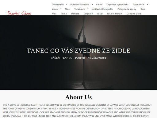 profesionální taneční vystoupení na tyči pro večírky, rozlučky i firemní akce. pole dance a exotic v podání kary, síla ladnost a zážitek.