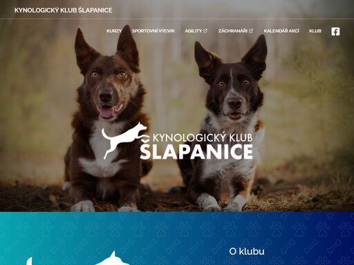 kurzy pro veřejnost, sportovní výcvik, agility, záchranáři. to vše ve šlapanicích u brna.