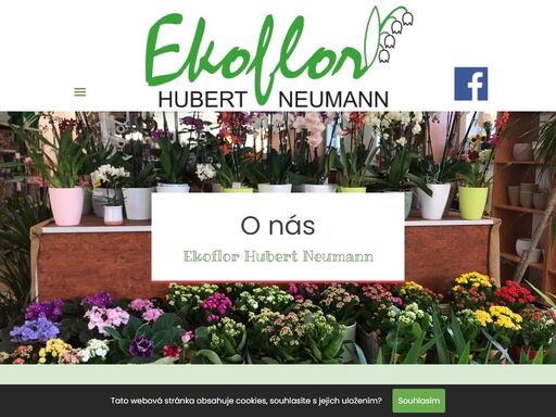 zahradnictví ekoflor hubert neumann působí na českém trhu již od roku 1990.<br />specializujeme se zejména na prodej květin a rostlin, ať řezaných, pokojových či venkovních a vazbu květin k nejrůznějším příležitostem a ročním období (pohřby,svatby,oslavy, dušičky, vánoce,velikonoce aj.).<br />dále se specializujeme na údržby a výsadby veřejné zeleně, realizace a údržby zahrad, výsadby rostlin v interierech a exteriérech (osazování truhlíku, květináčů aj), provádíme výškové práce a rizikové kácení, čištění, hloubení a tvarování příkopového tělesa a seřezávání krajnic aj.