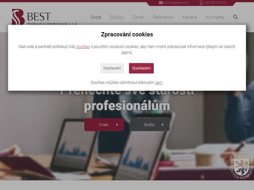 daňové poradenství, vedení účetnictví a daňové evidence, mzdová agenda.