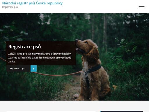 registrace psů