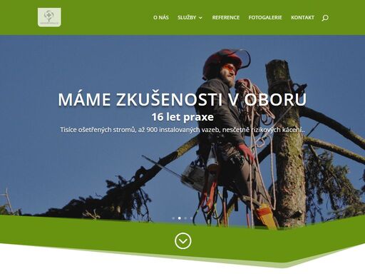 odborná péče o stromy | ořez, kácení, vazby | orezstromu.cz