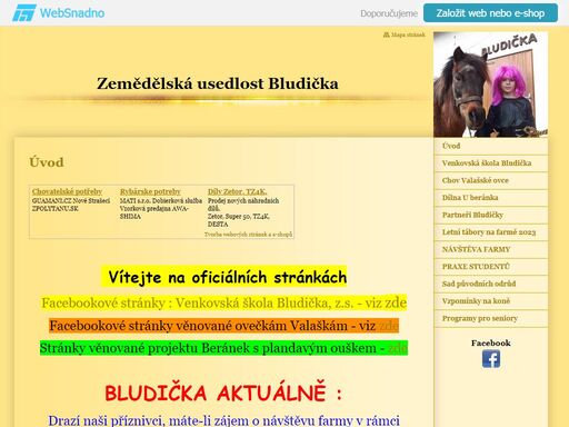 bludicka.wbs.cz