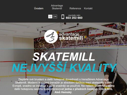 skatemill.com
