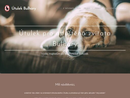 www.utulekbreclavbulhary.cz