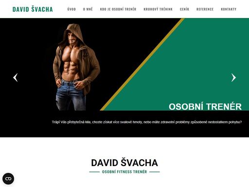 www.davidsvacha.cz