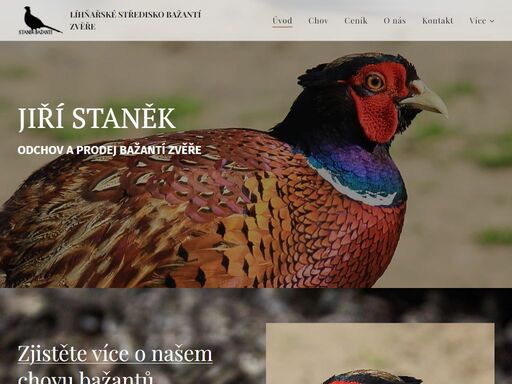 www.stanek-bazanti.cz
