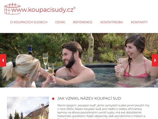 www.koupacisudy.cz