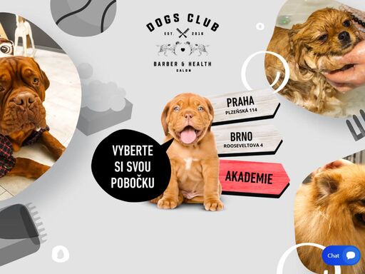 www.dogs-club.cz