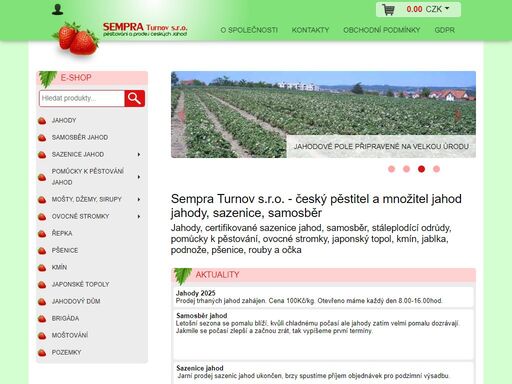 sempra turnov s.r.o. - český pěstitel a množitel jahod. jahody, sazenice, samosběr. oovocné stromky, japonský topol, kmín, jablka, podnože, pšenice, rouby a očka