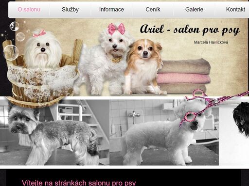 ariel - salon pro psy brno