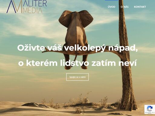 alitermedia.cz
