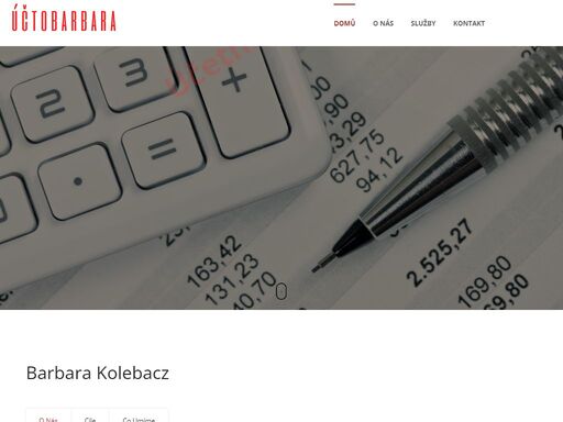 povedeme pro vaši firmu účetnictví, daňovou evidenci, mzdové účetnictví a personalistiku.vedení účetnictví a vedení daňové evidence praha a okolí i celá čr