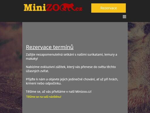 objevte magii přírody v minizoo.cz! nabízíme jedinečné zážitky s surikaty, lemuri a makaky. přijďte prožít nezapomenutelné okamžiky <br />
