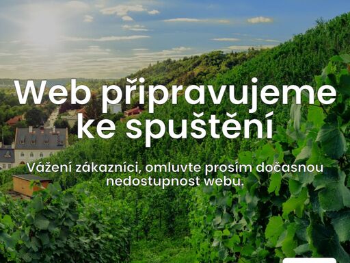 černá břidlice, blízká vltava a svažité kopce. to jsou naše vinice, náš terroir. o révu se staráme na 2 hektarech vlastních vinic v ekologickém režimu. poznejte vinařství v praze.