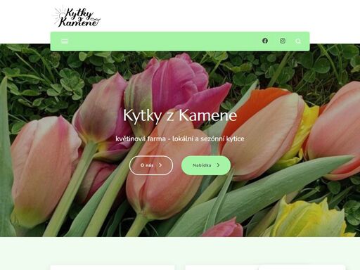 vítejte na svém webu! toto je vaše domovská stránka, což je místo, které většina návštěvníků uvidí, jakmile poprvé přijdou na váš web.
