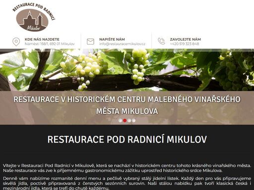 užijte si nezapomenutelný gastronomický zážitek v restauraci pod radnicí. nabízíme širokou škálu místních specialit a kvalitních vín z jižní moravy. navštivte nás dnes!