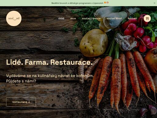 v restauracích soul.ad najdete pestrá řešení obědů i večeří a v nabídce máme pokaždé vegetariánské možnosti. jídlo můžete doprovodit neotřelými alko i nealko nápoji a svoji návštěvou zakončit sladkou tečkou s kvalitní kávou.