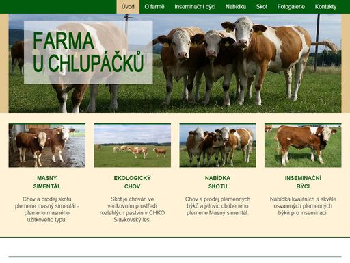 farma u sokolova. nabízíme prodej skotu plemene masný simentál. chov a prodej plemenných býků a jalovic. inseminační býci.
