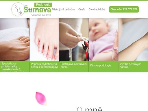 doména www.pedikura-sumava.cz je parkována u služby český hosting, vlastník neobjednal hostingové služby.
