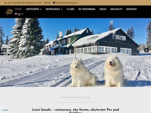 lesnibouda.cz