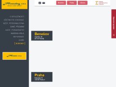 naše firma nabízí vedení účetnictví, daňové evidence, outsourcing mzdové a personální agendy, účetní, daňové a ekonomické poradenství a audit.