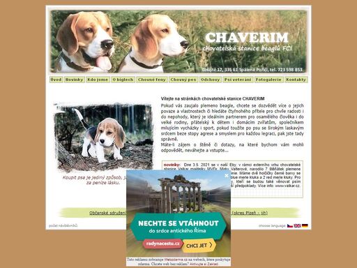 www.chov-beagle.unas.cz
