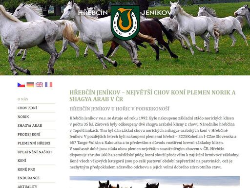 hřebčín jeníkov je největším chovatelem koní plemen norik a shagya arab v české republice. nabízíme koně k prodeji.