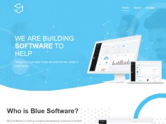 blue software - the software development company