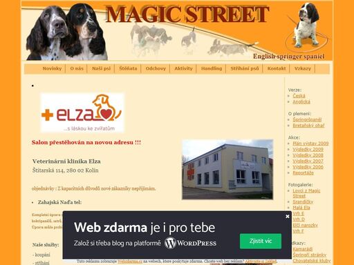 www.magicstreet.unas.cz/strihani.htm
