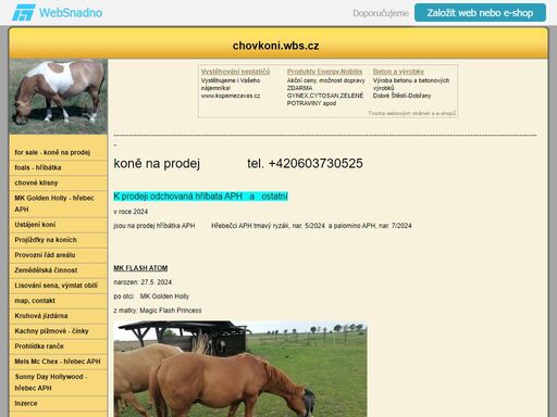 ustájení a chov charakterních koní
