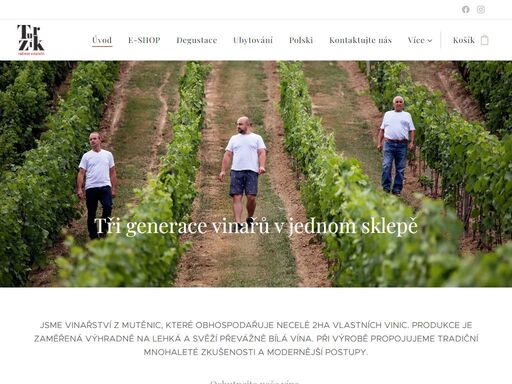 jsme vinařství z mutěnic, které obhospodařuje necelé 2ha vlastních vinic. produkce je zaměřená výhradně na lehká a svěží převážně bílá vína. při výrobě propojujeme tradiční mnohaleté zkušenosti a modernější postupy.