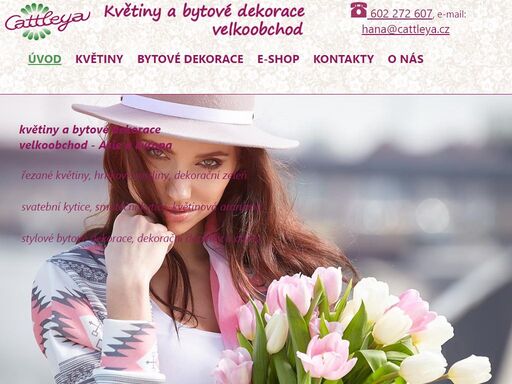 květiny cattleya - velkoobchod a maloobchod - květiny, rostliny, řezané květiny , hrnkové rostliny a dekorační zeleň, bytové dekorace - jesenice, tábor, české budějovice, praha