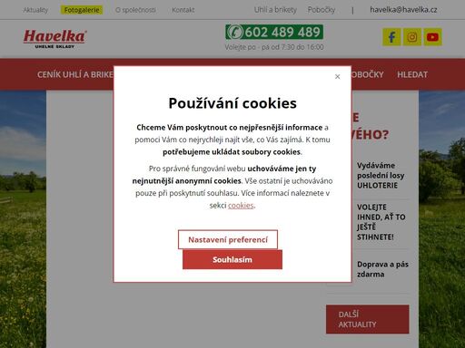 dovoluje si vám nabídnout služby spojené s prodejem a zajištěním hnědouhelných briket union z německa.