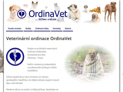 veterinární ordinace olomouc - povel. zvířecí společník je něco mnohem víc, než jen spolubydlící. nevěříme, že někdo tomuto spojení rozumí více, než náš tým