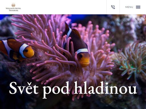 svět pod hladinou je unikátní expozice akvárií a artefaktů přibližující podvodní život na ploše více než 500 m2. exotické i tuzemské druhy živočichů a ryb.