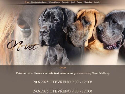 www.n-vet.cz
