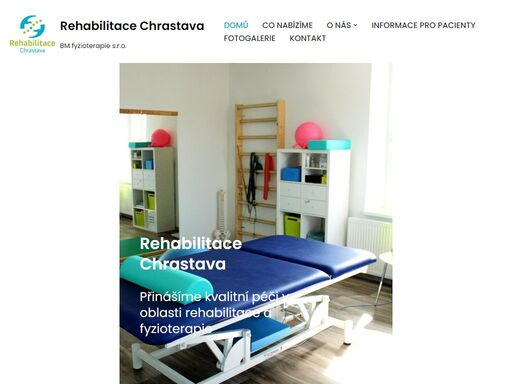 www.bmfyzioterapie.cz