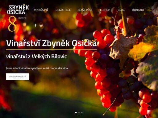 ve velkých bílovicích vyrábíme svěží moderní vína, která ctí tradice a odrůdové charakteristiky. zjistěte, jak chutná víno od mladých vinařů. 