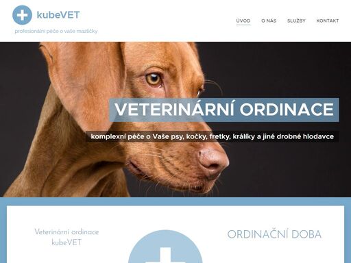 veterinární ordinace kube vet se nachází na lidické v brně. poskytuje komplexní péči o psy, kočky, fretky, králíky a drobné hlodavce