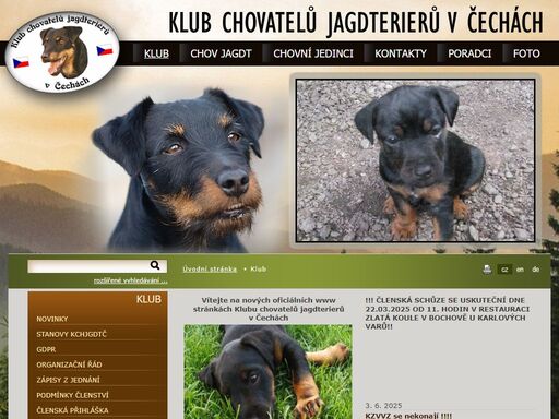 klub chovatelů jagdteriérů v čechách