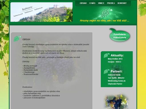 hrozny nejen na víno ale i na váš stůl,prodej hroznů