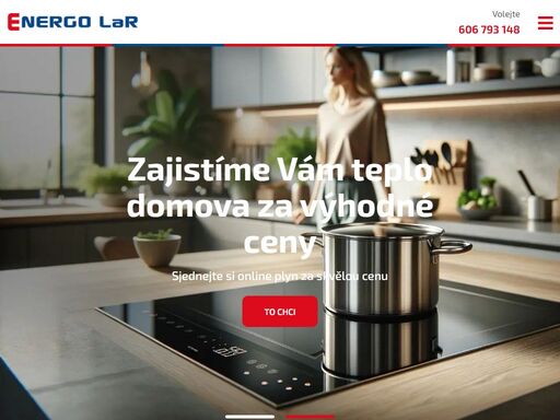 firma energo lar se zabývá prodejem elektřiny a zemního plynu, distribucí elektřiny, poradenstvím v oblasti energetiky, optimalizací nákladů na energie aj.