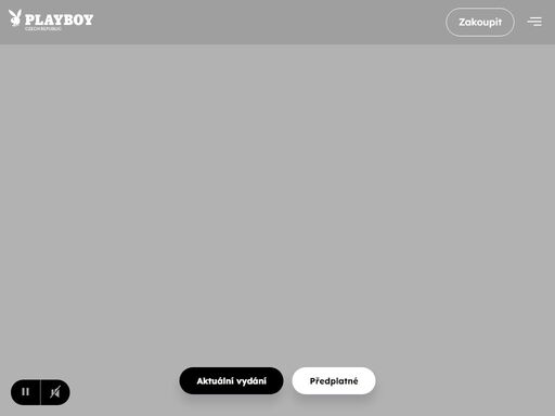 svět potěšení a rozkoše, kde si každý najde to své. to je playboy.cz