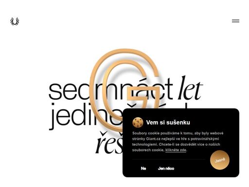 17 let jedinečných řešení ověnčenými vítězstvími v oblasti e-commerce a webových a mobilních aplikací.