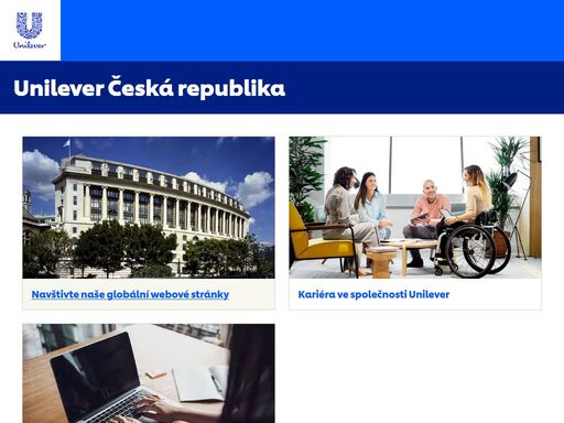 ve společnosti unilever uspokojujeme každodenní potřeby značkami, které pomáhají lidem cítit se dobře, vypadat dobře a mít ze života více