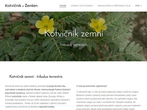 kotvičník zemní - tribulus terrestris