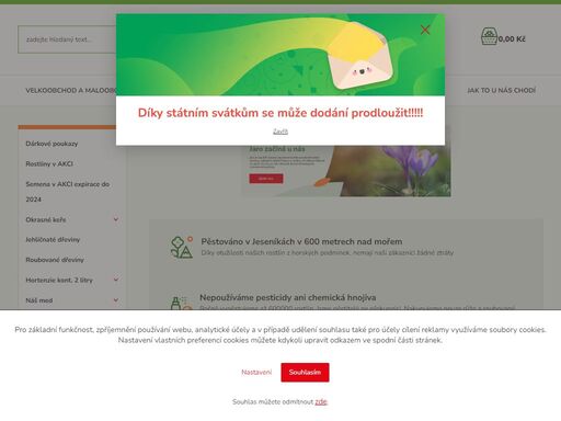 zahradnický velkoobchod, zahradnictví, zahradnictví bruntál, levné rostliny