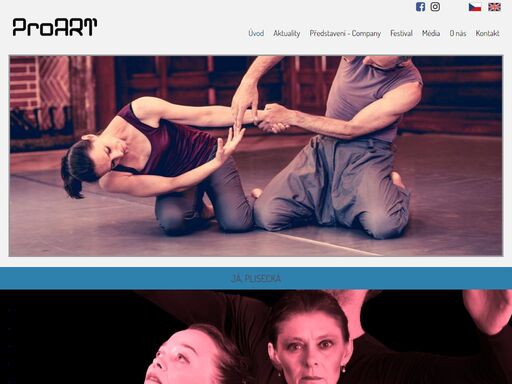proart. spolek pro umění, je neziskovou organizací, která nabízí nekomerční představení afestival uměleckých workshopů proart festival. 