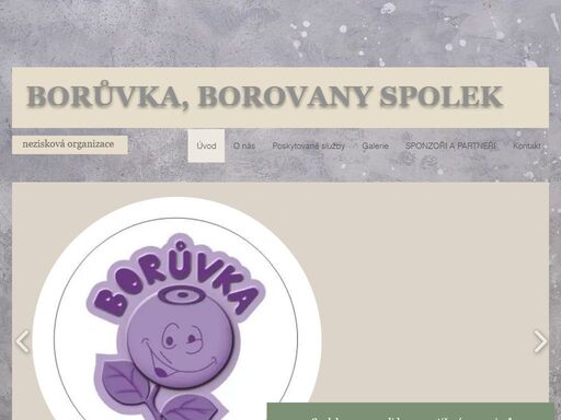 www.boruvka-borovany.cz